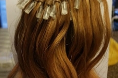 Bonita's Extensions