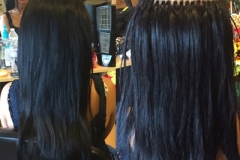Bonita's Extensions